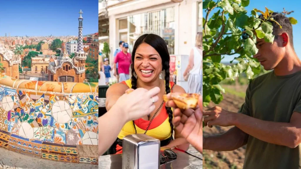 Food market tasting with regional Belgian specialities